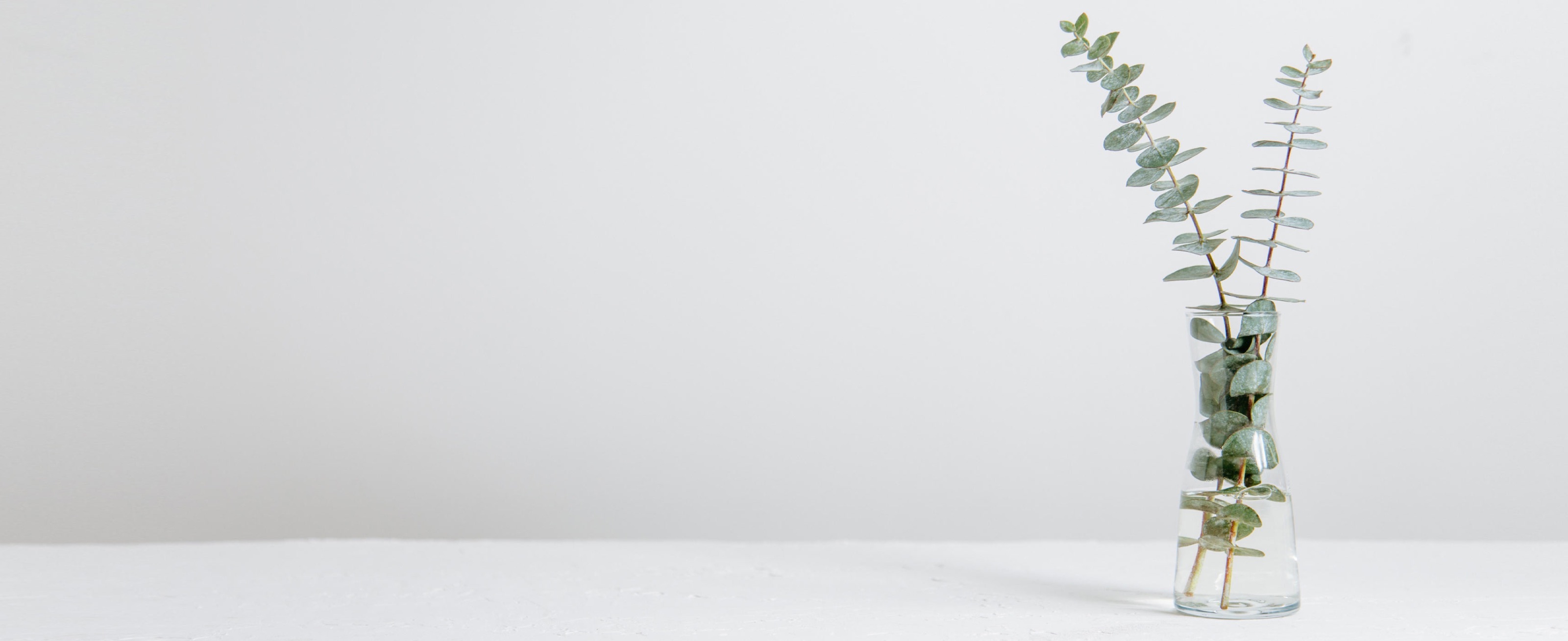 Minimalistic image of eucalyptus in glass beaker